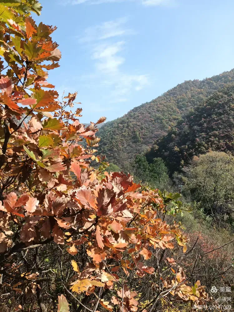 绛县紫家峪印象